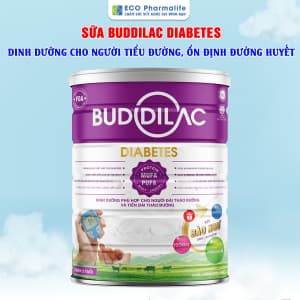 Sữa Buddilac Diabetes - Sữa cho người tiểu đường, đái tháo đường