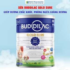 Sữa Buddilac Gold Sure - Xương chắc khỏe, phòng ngừa loãng xương