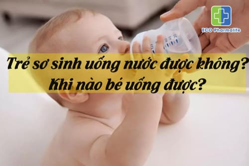 Có nên cho trẻ sơ sinh uống nước không? lợi ích và tác hại