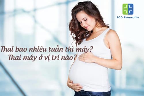 Giải đáp thắc mắc thai bao nhiêu tuần thì máy rõ và mạnh