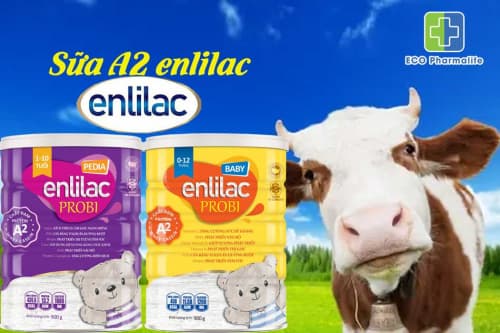 Sữa bột A2 dạng hộp của Enlilac có tốt như quảng cáo không