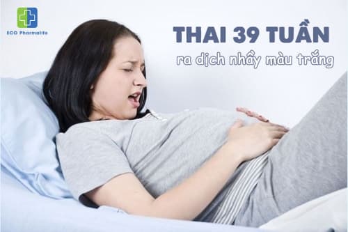 Thai 39 tuần ra dịch nhầy màu trắng đục có phải sắp sinh?