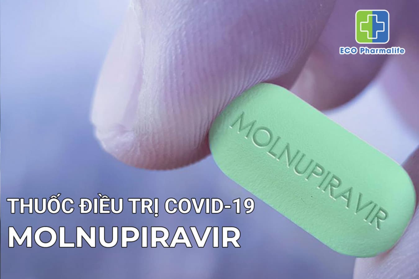 Thuốc Molnupiravir là thuốc gì? Giá bao nhiêu? Mua ở đâu?