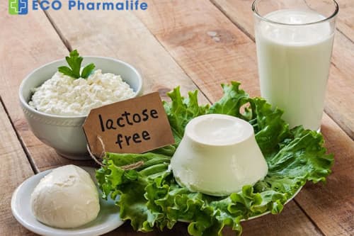 Cách phân biệt sữa không lactose với sữa thường như thế nào?