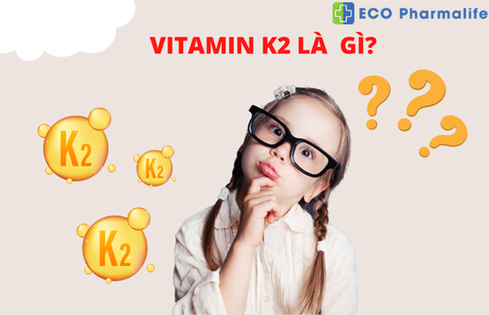 vitamin-k2-la-gi
